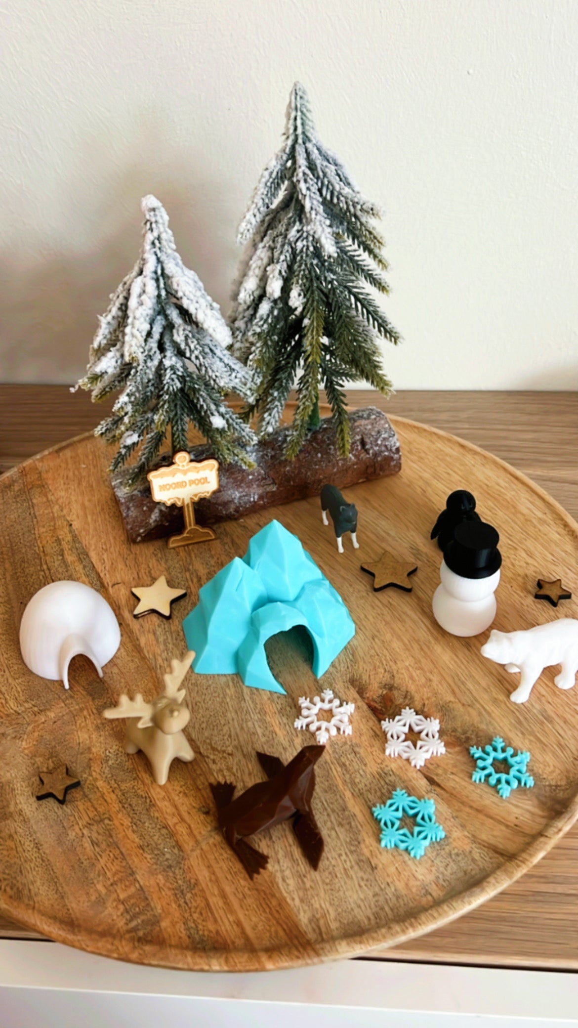 Set van Noordpoolfiguurtjes