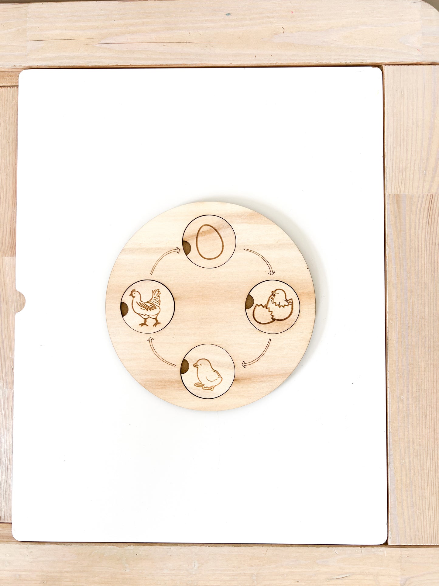 Cyclus van ei tot kip